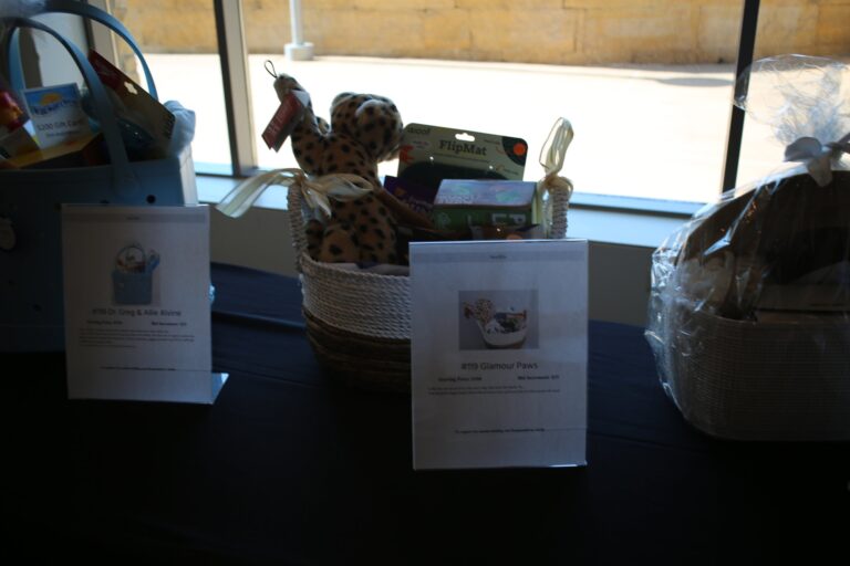 Silent auction item at Ben's Longball Classic 2026 (photo 67 of 218)