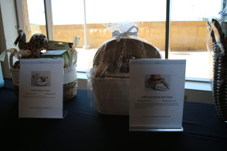 Silent auction item at Ben's Longball Classic 2026 (photo 68 of 218)