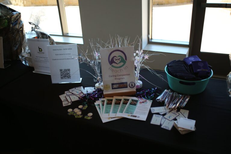 Silent auction item at Ben's Longball Classic 2026 (photo 71 of 218)